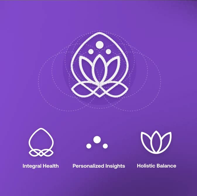 Brand Identity Example 6