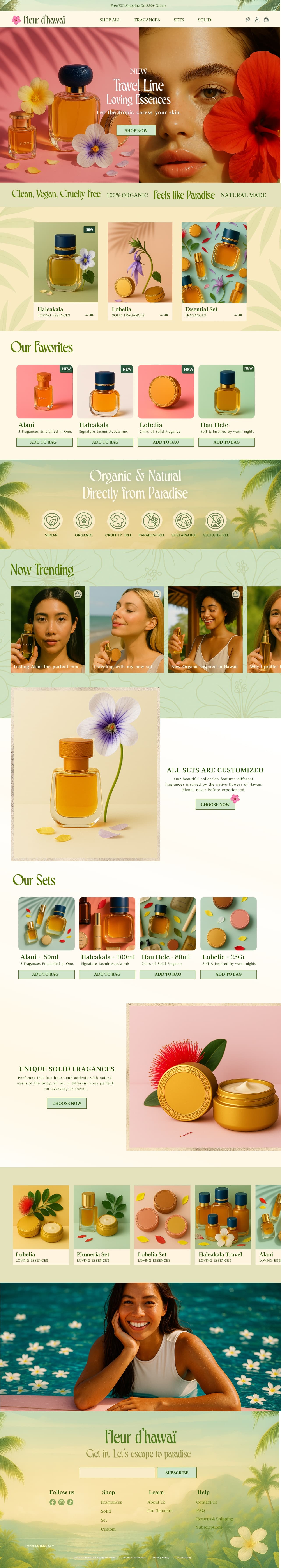Web Design Example 1